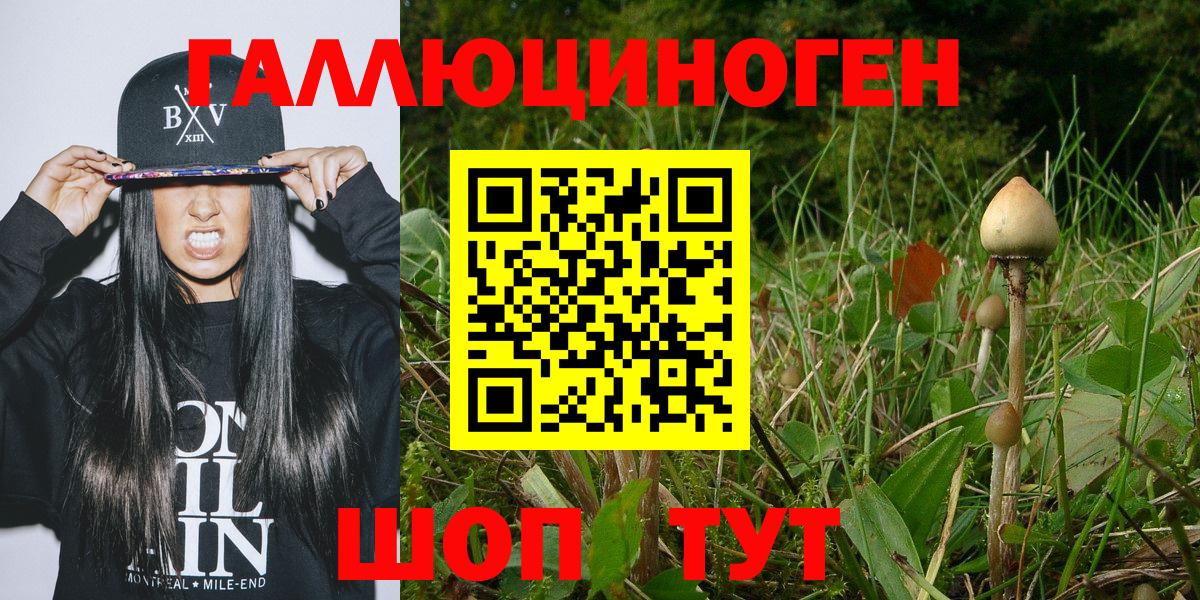 Псилоцибиновые грибы прущие грибы Омск