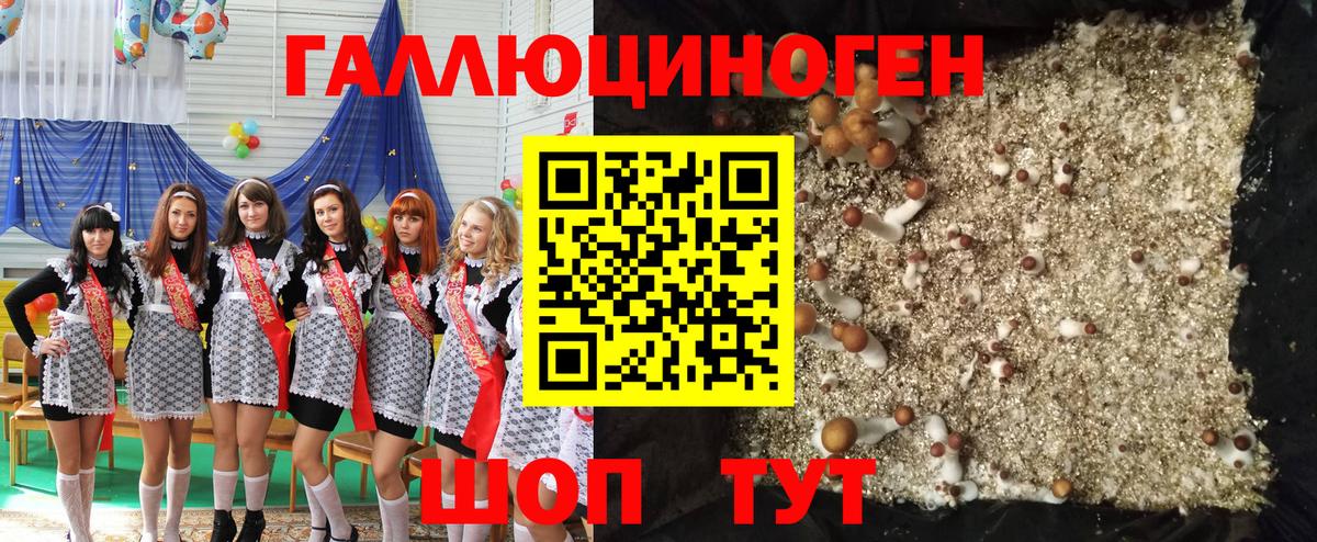 Омск  продажа наркотиков  Вход с VPN  Галлюциногенные грибы Psilocybine cubensis 